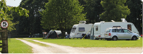 High Rigg Farm The Site (including prices) | Stoneclose Campsite